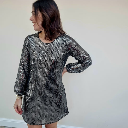 Sequin Long Sleeve Dress