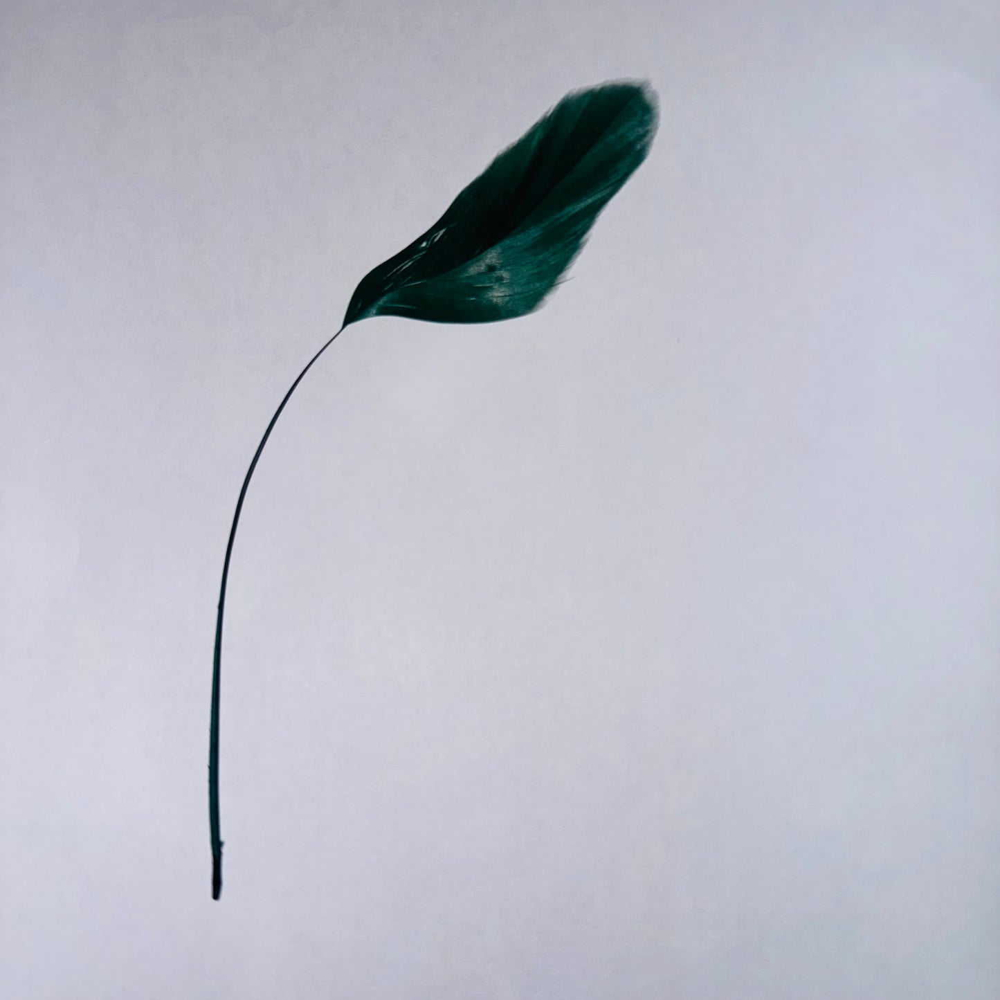Green Individual Feathers for Customising Hats & Fascinators