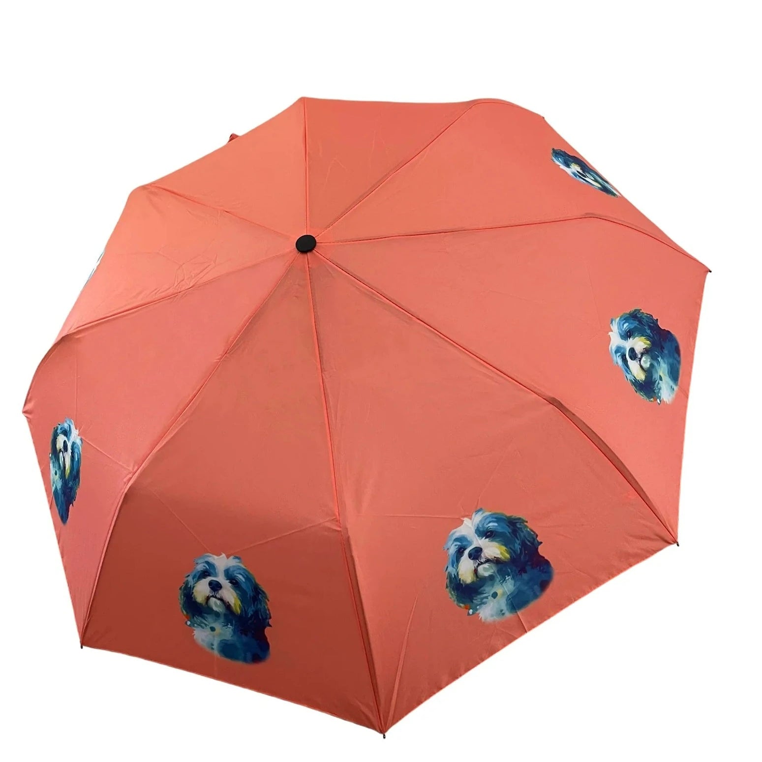 Shih Tzu dog Print Umbrella Lesley Ashworth