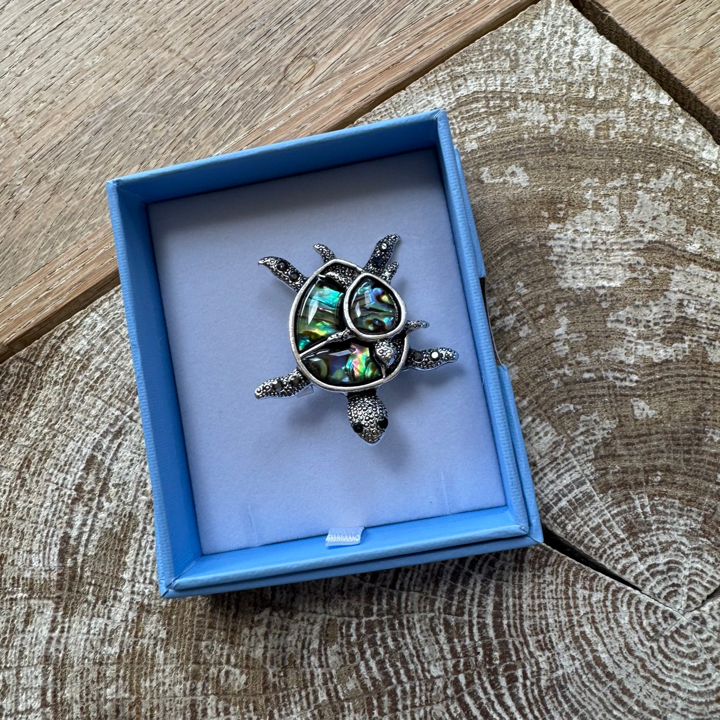 Byzantium Mummy & Baby Turtle Paua Brooch