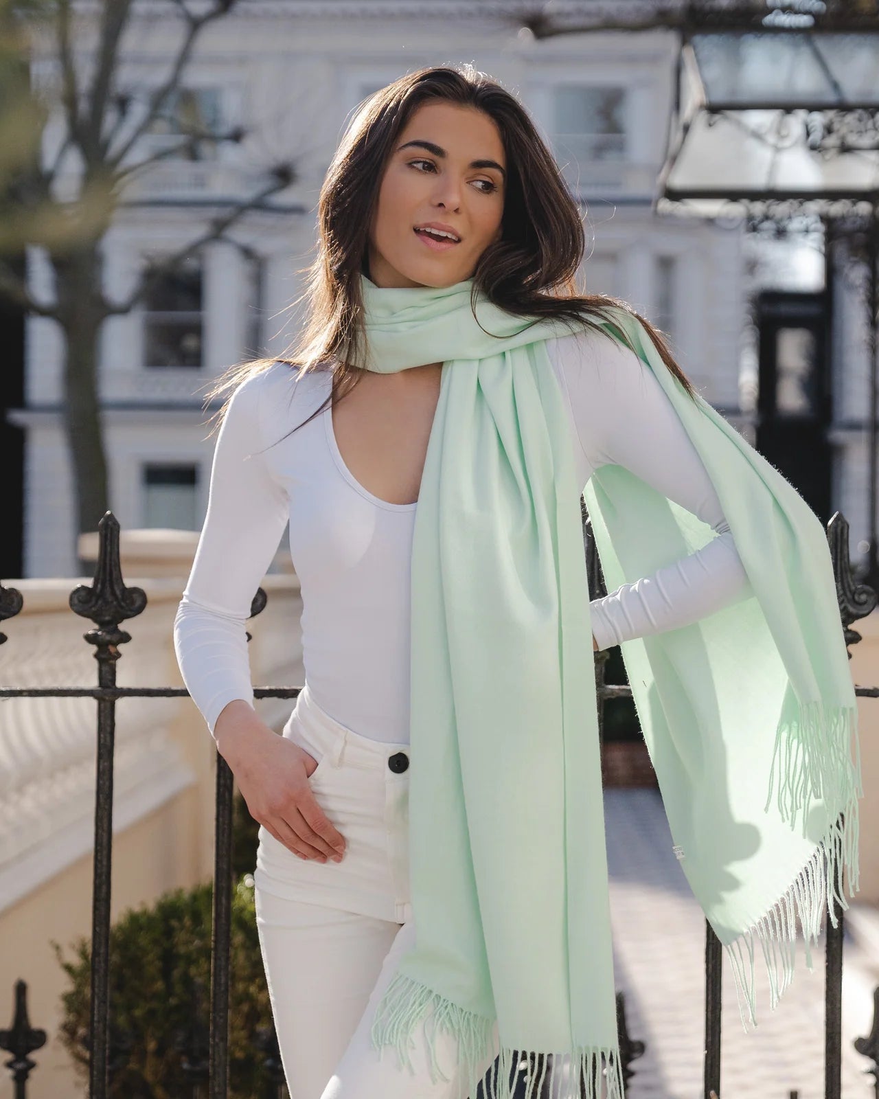 Park Lane PAS Celine Pashmina in Green & Mints