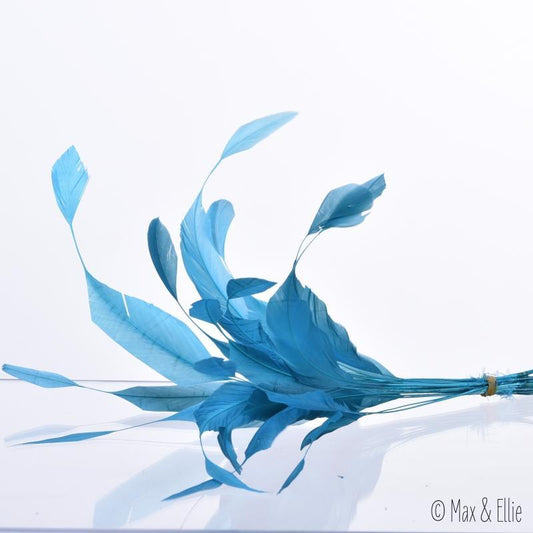 CO7 Neutral Large Individual Feathers for Customising Hats & Fascinators