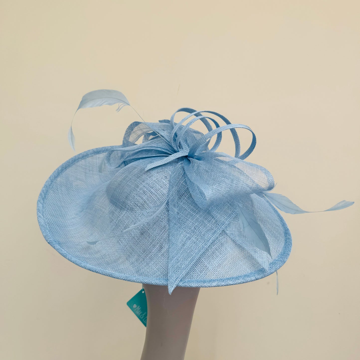 Max and Ellie FD7 Powder Blue Hatinator