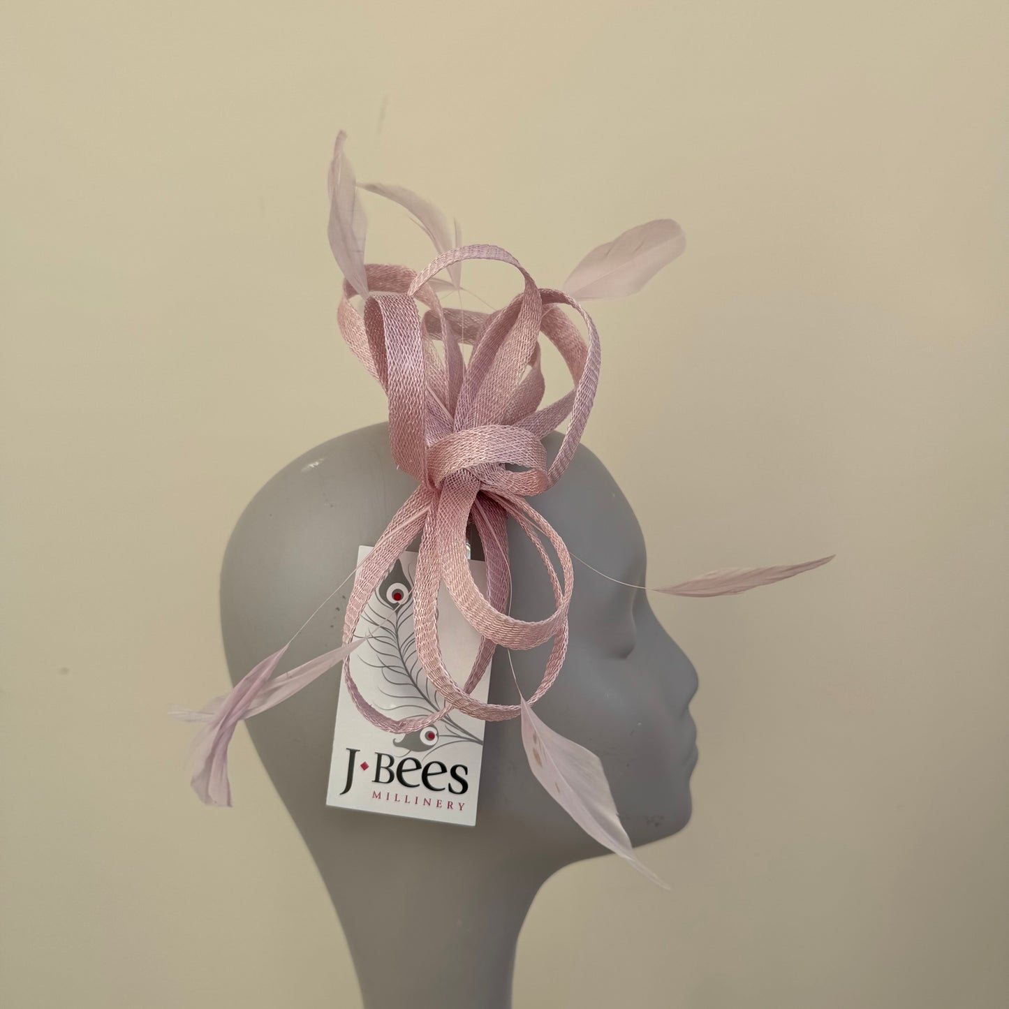 J Bees JB22/238 Fascinator On Headband In Pinks