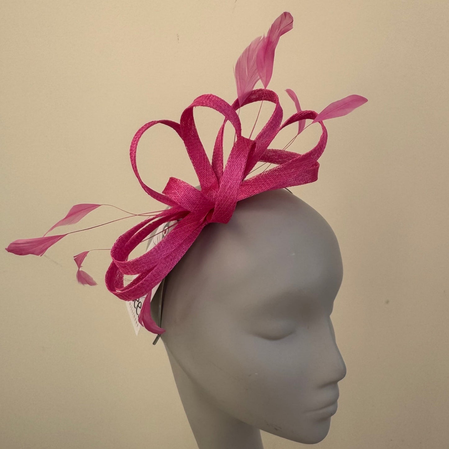 J Bees JB22/238 Fascinator On Headband In Pinks