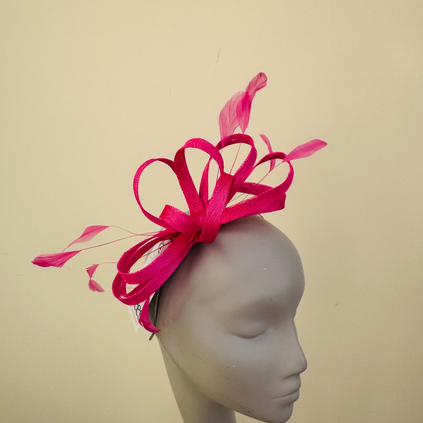 J Bees JB22/238 Fascinator On Headband In Pinks