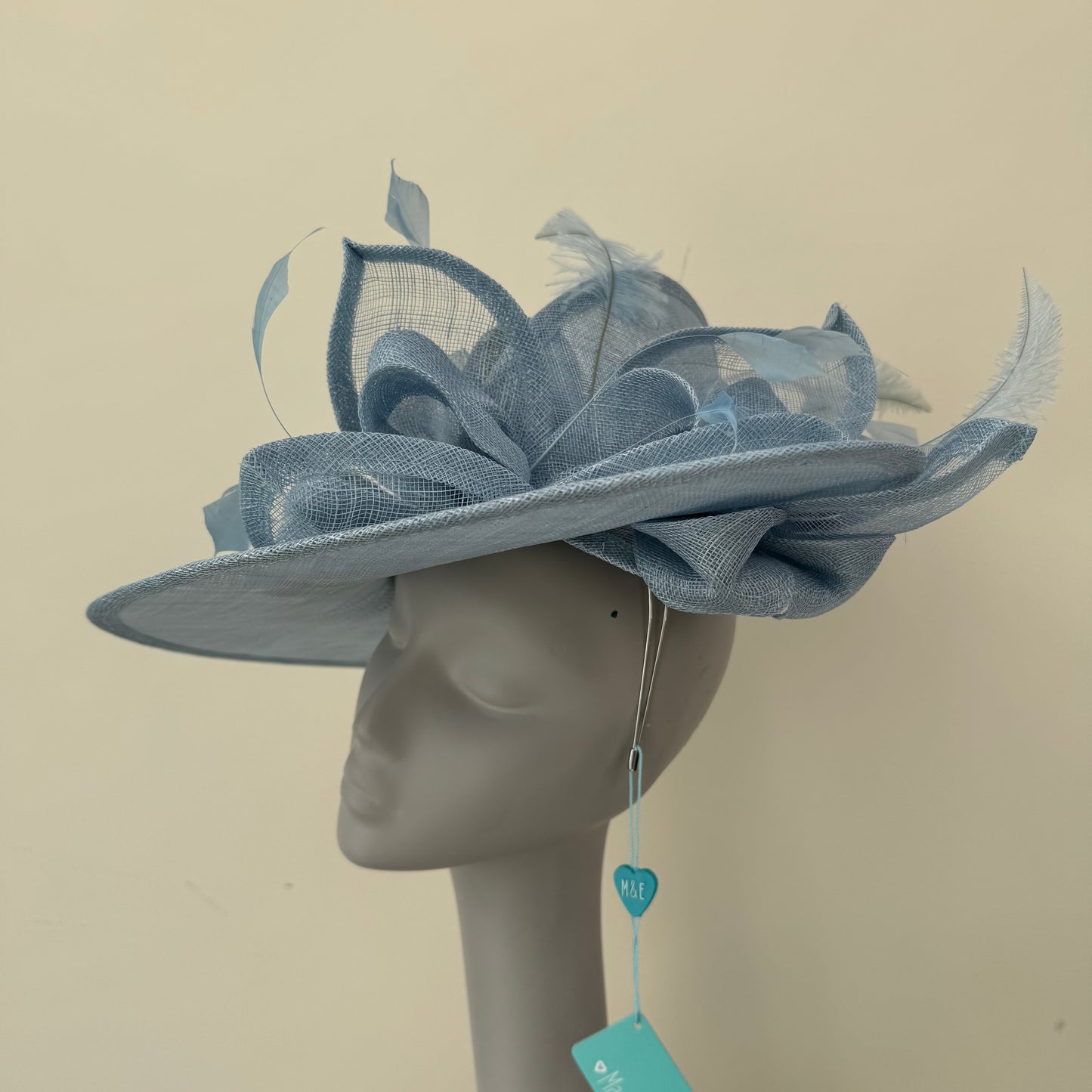 Max and Ellie WD5 Powder Blue Hatinator Powder Blue