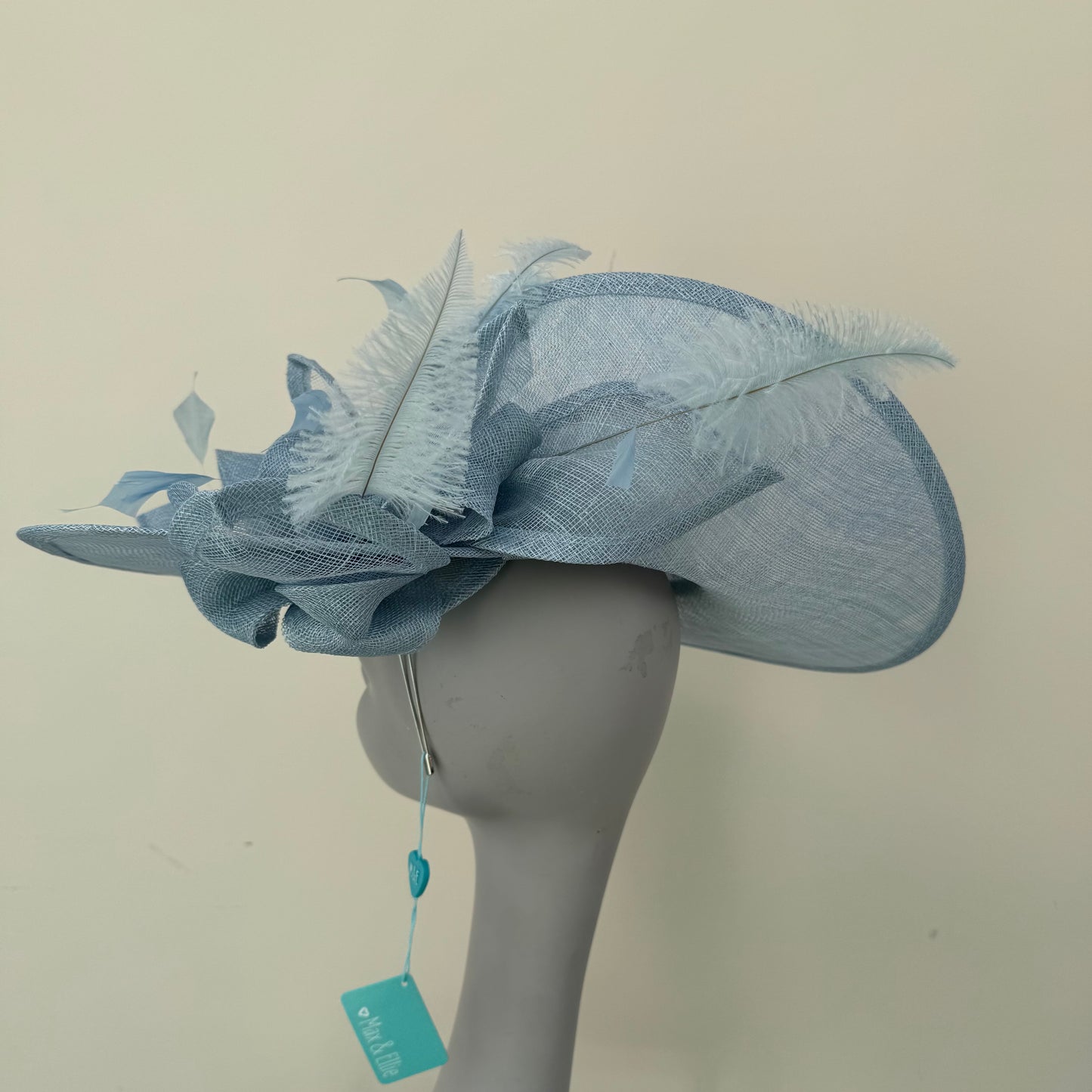 Max and Ellie WD5 Powder Blue Hatinator Powder Blue