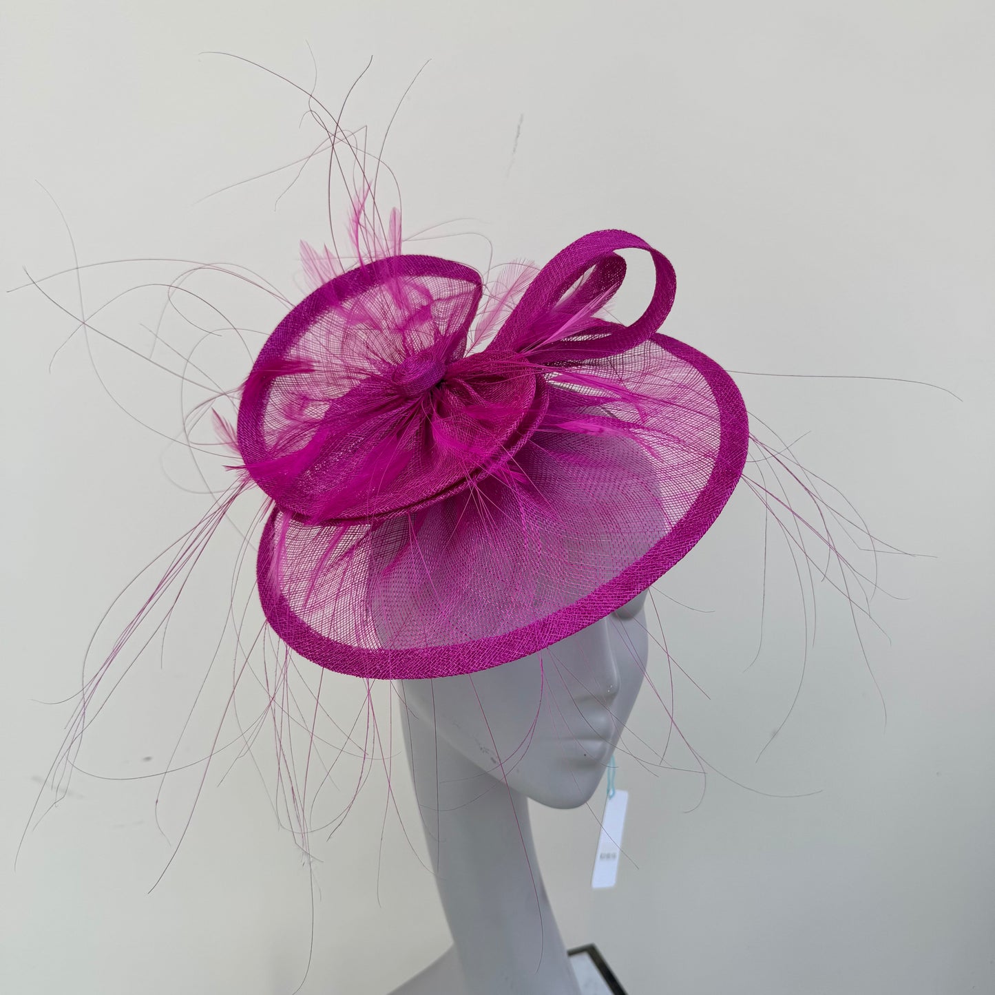 Max and Ellie BD1 Hatinator in Pinks