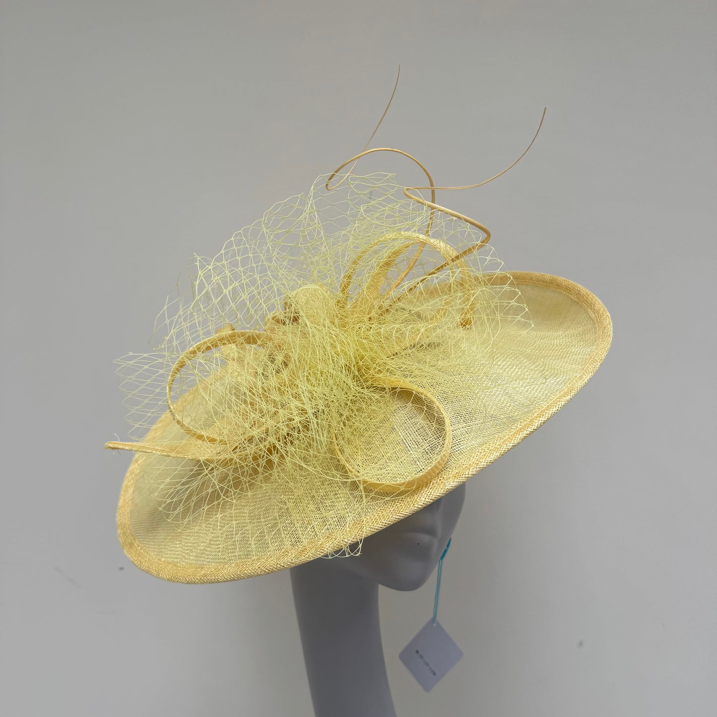 Max and Ellie LD7 Lemon Yellow Oval Disc Hatinator