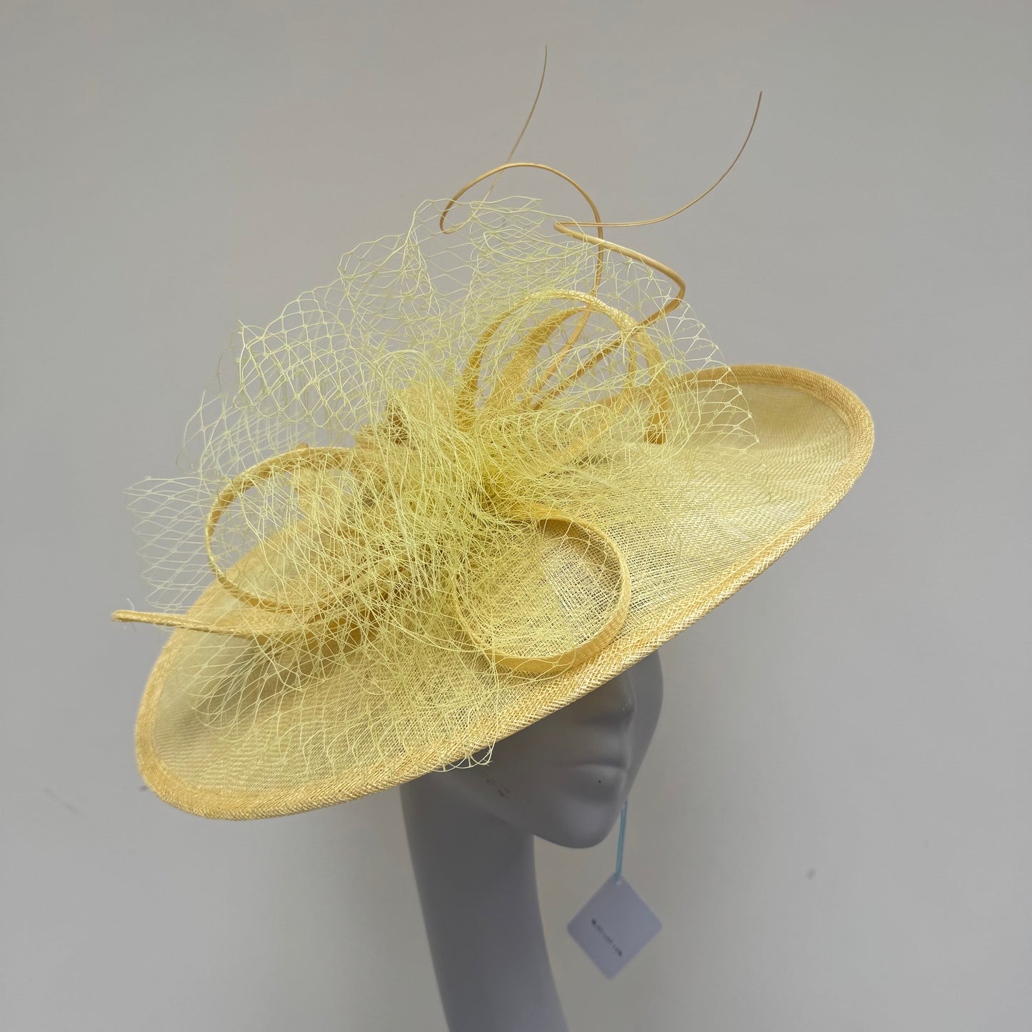 Max and Ellie LD7 Lemon Yellow Oval Disc Hatinator