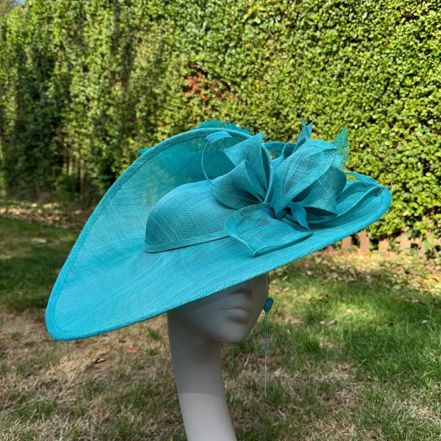 Max and Ellie WD5 Lagoon Blue Hatinator