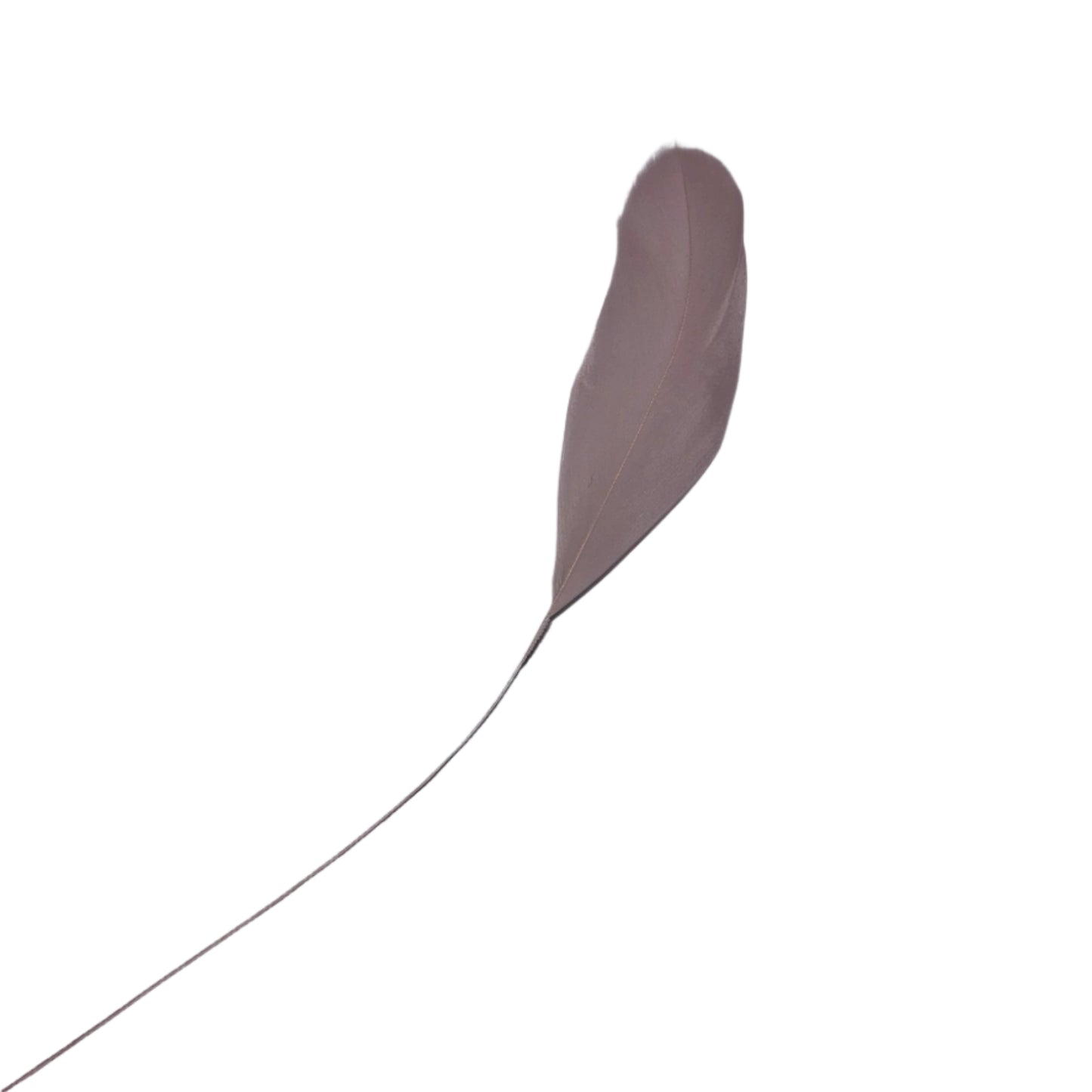 Pinks and Reds Individual Feathers for Customising Hats & Fascinators