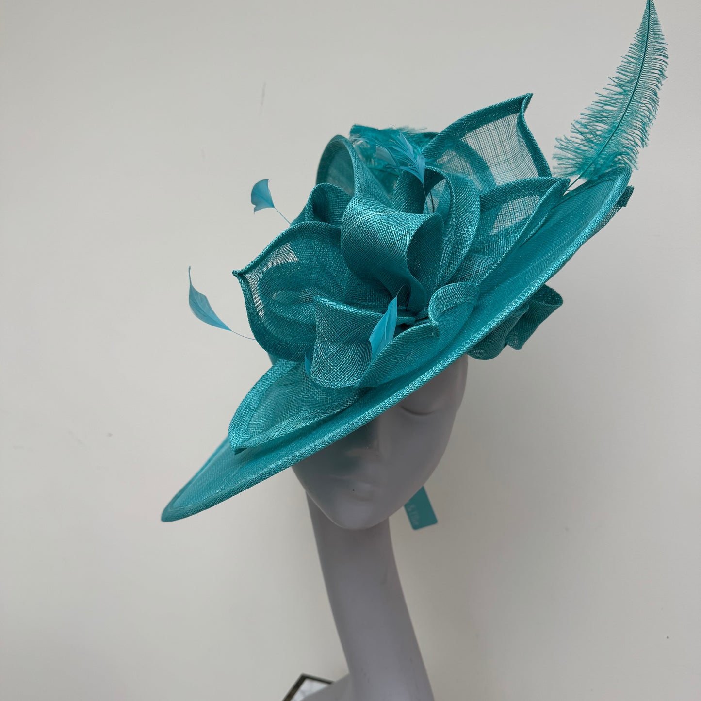 Max and Ellie WD5 Lagoon Blue Hatinator