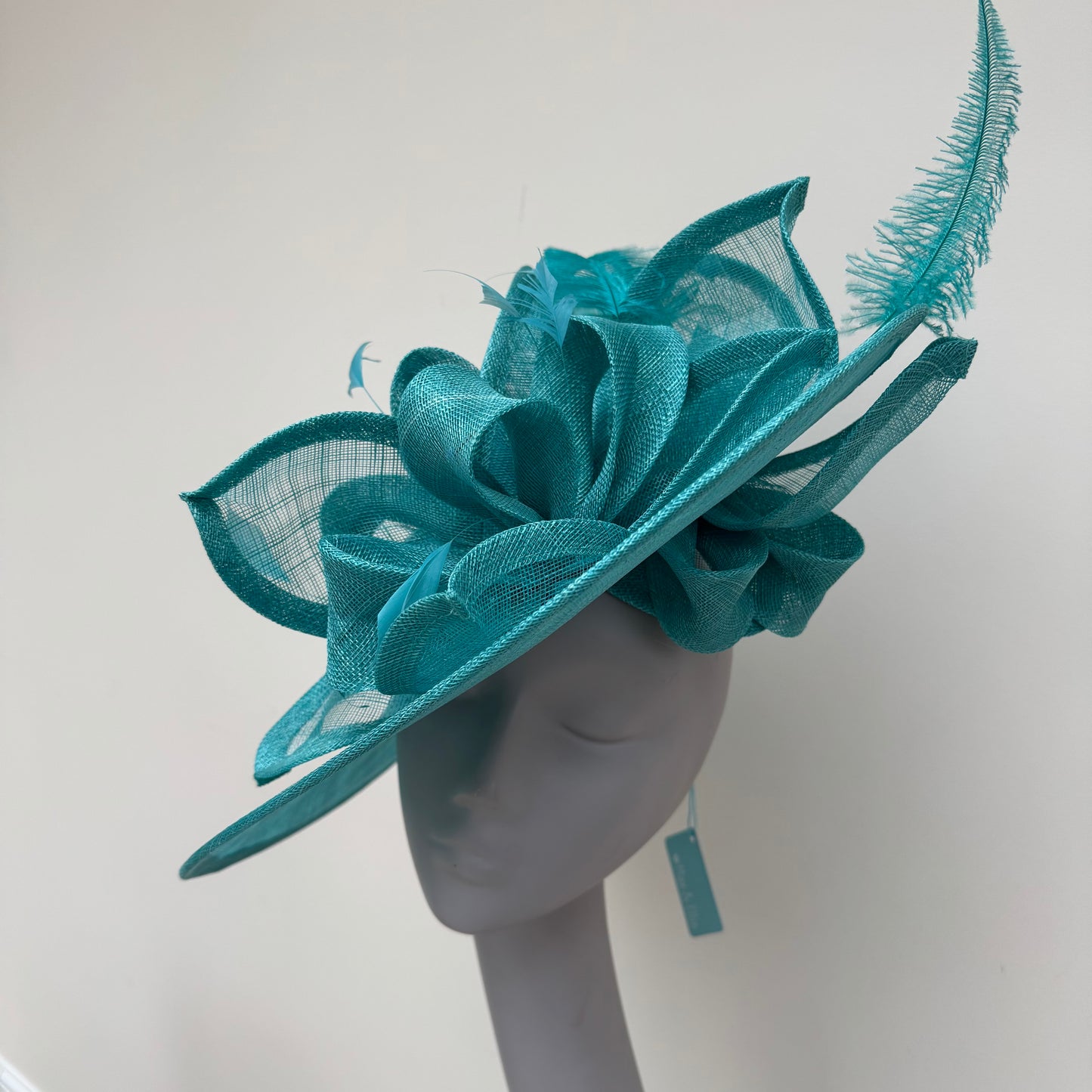 Max and Ellie WD5 Lagoon Blue Hatinator