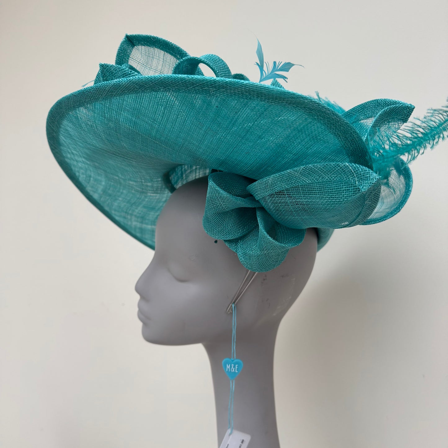 Max and Ellie WD5 Lagoon Blue Hatinator