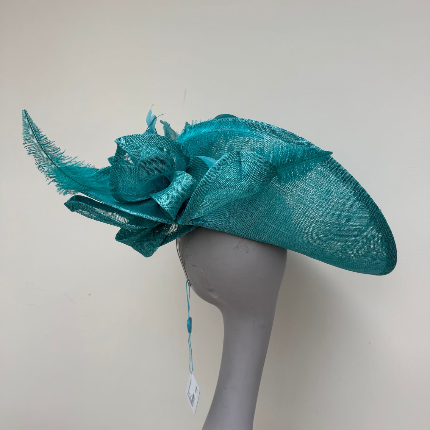 Max and Ellie WD5 Lagoon Blue Hatinator