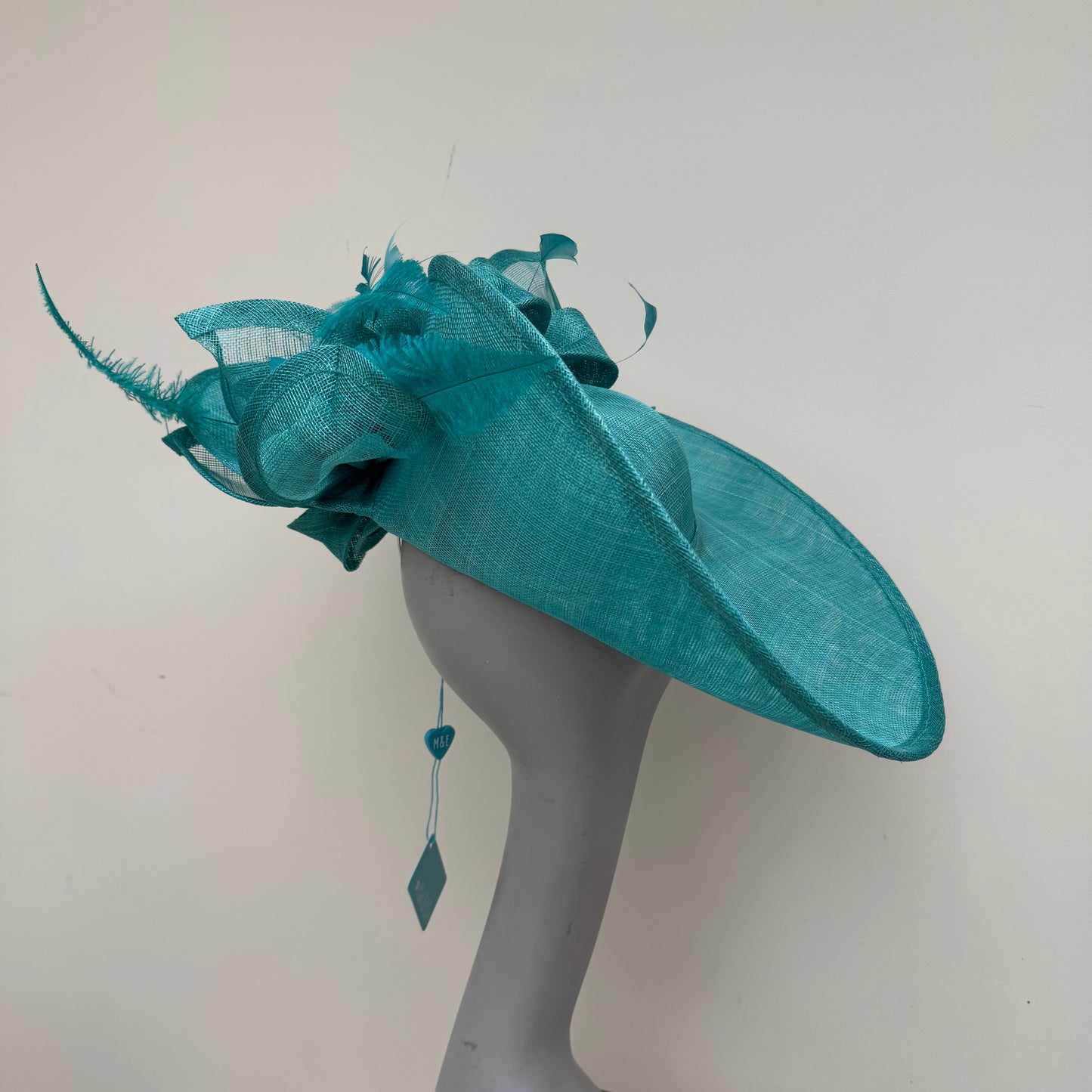 Max and Ellie WD5 Lagoon Blue Hatinator