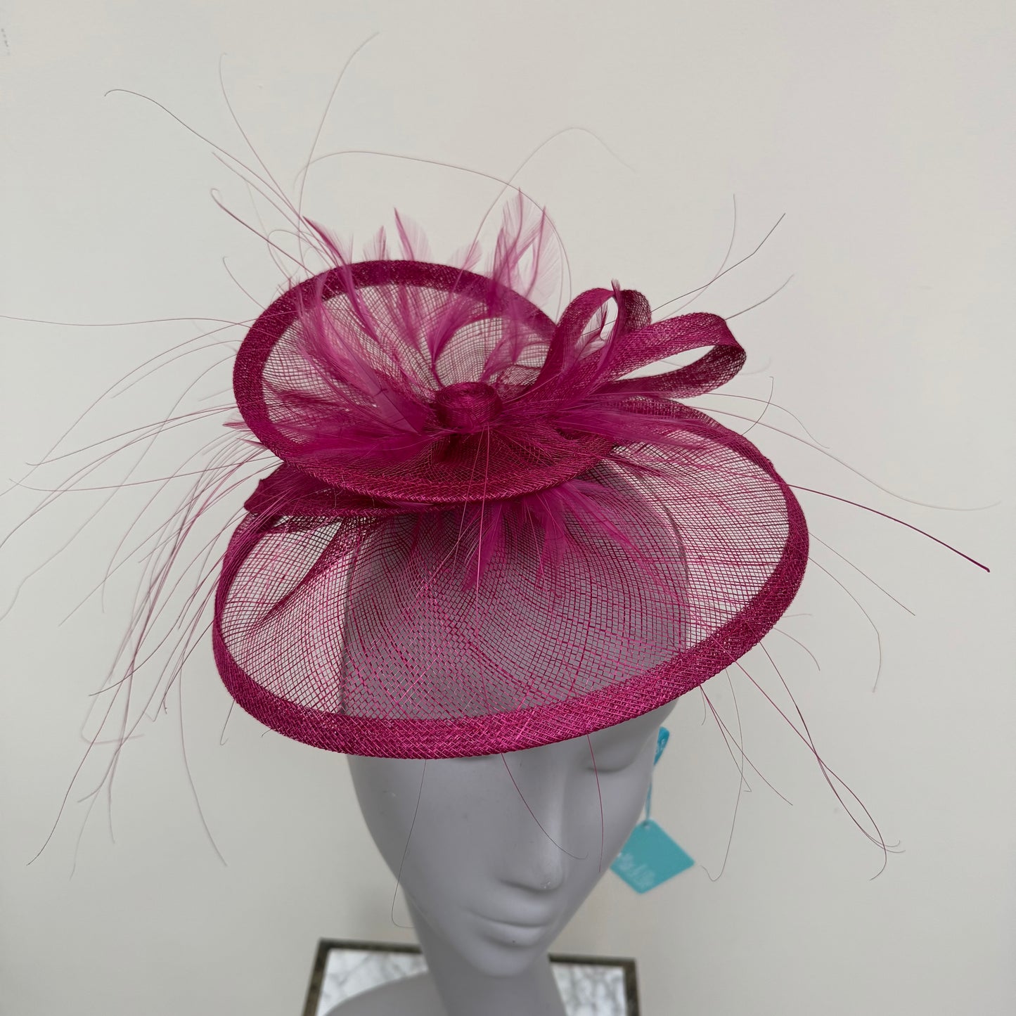 Max and Ellie BD1 Hatinator in Pinks