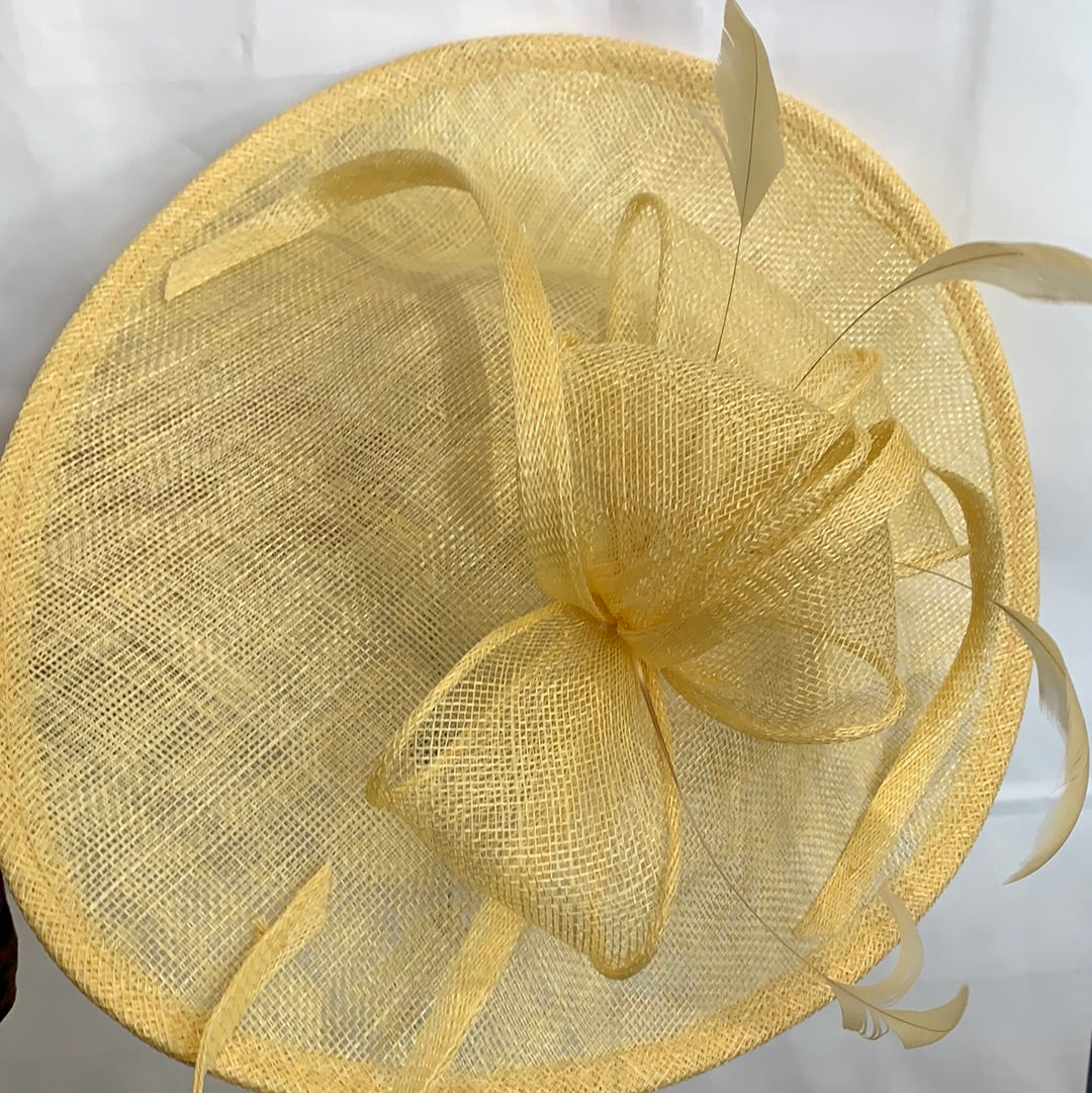 Max and Ellie AD1 Hatinator Disc in Yellows