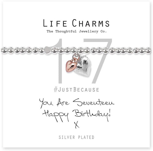 Life Charms You Are 17 Gift Bracelet