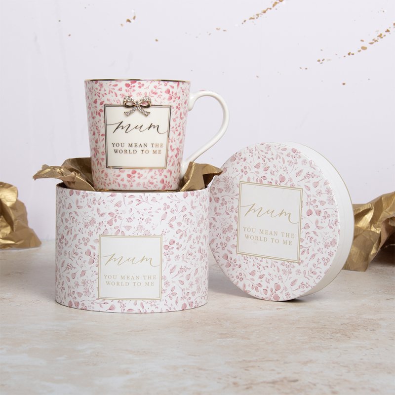 Mum you mean the world to me boxed china mug