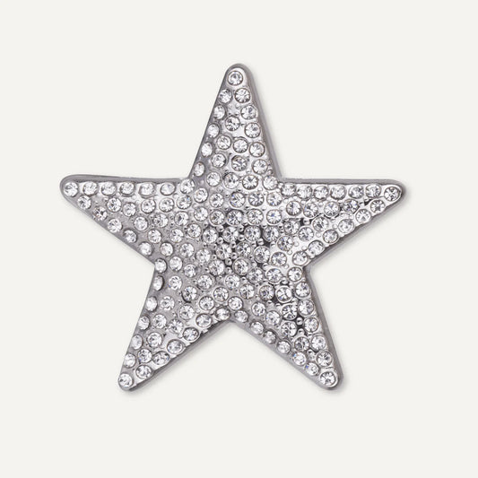 Star magnetic brooch