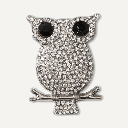 Crystal owl Brooch Silver