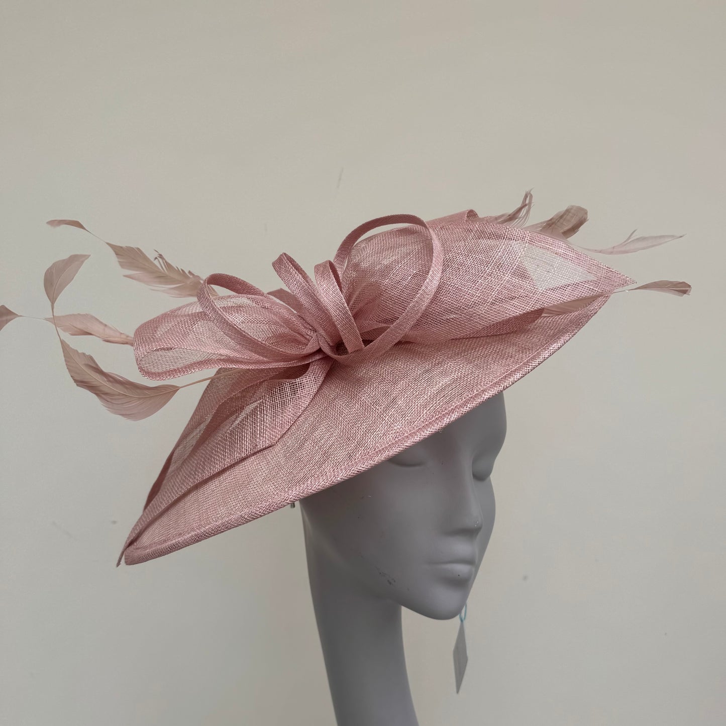 Max and Ellie FD7 Blush Pink Hatinator