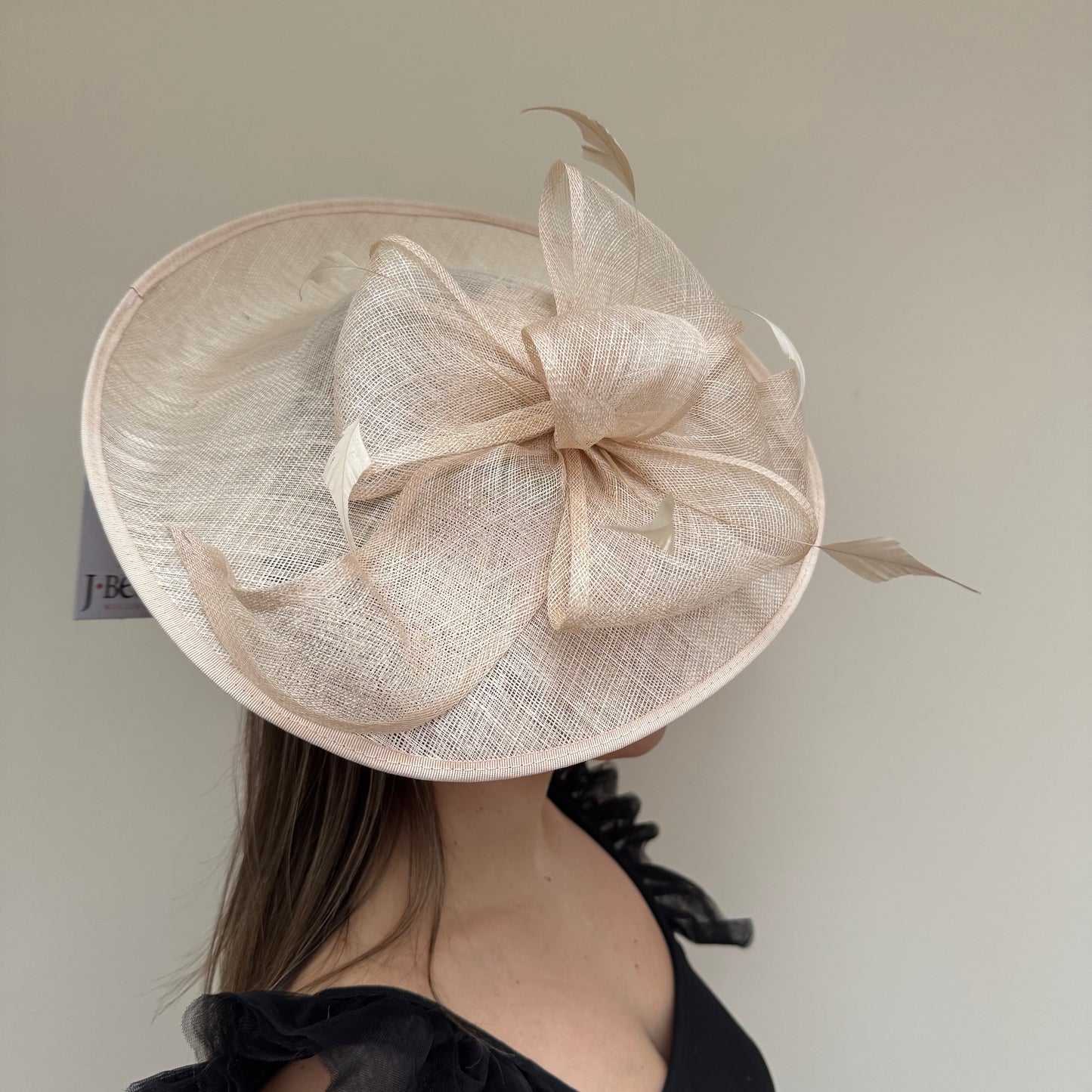 J Bees JB18/100 Champagne hatinator Champagne