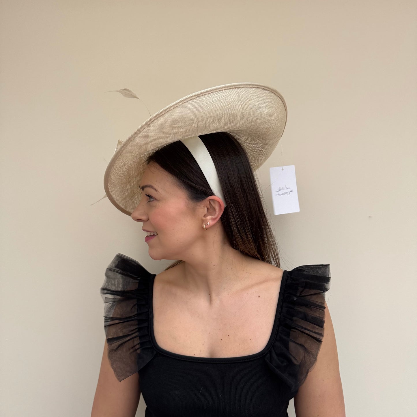 J Bees JB18/100 Sand Hatinator Sand