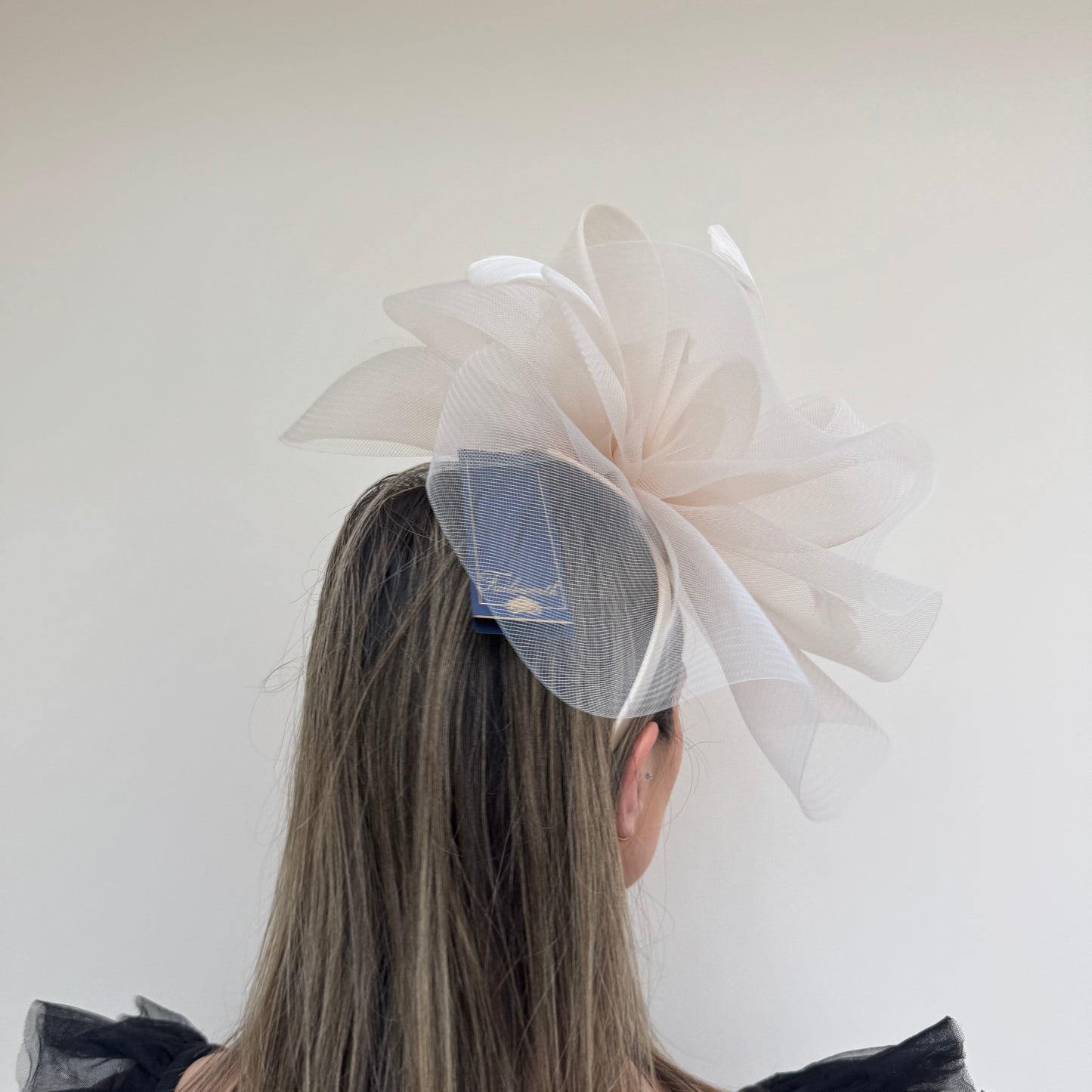 Failsworth SS26 124 Crin Fascinator fizz