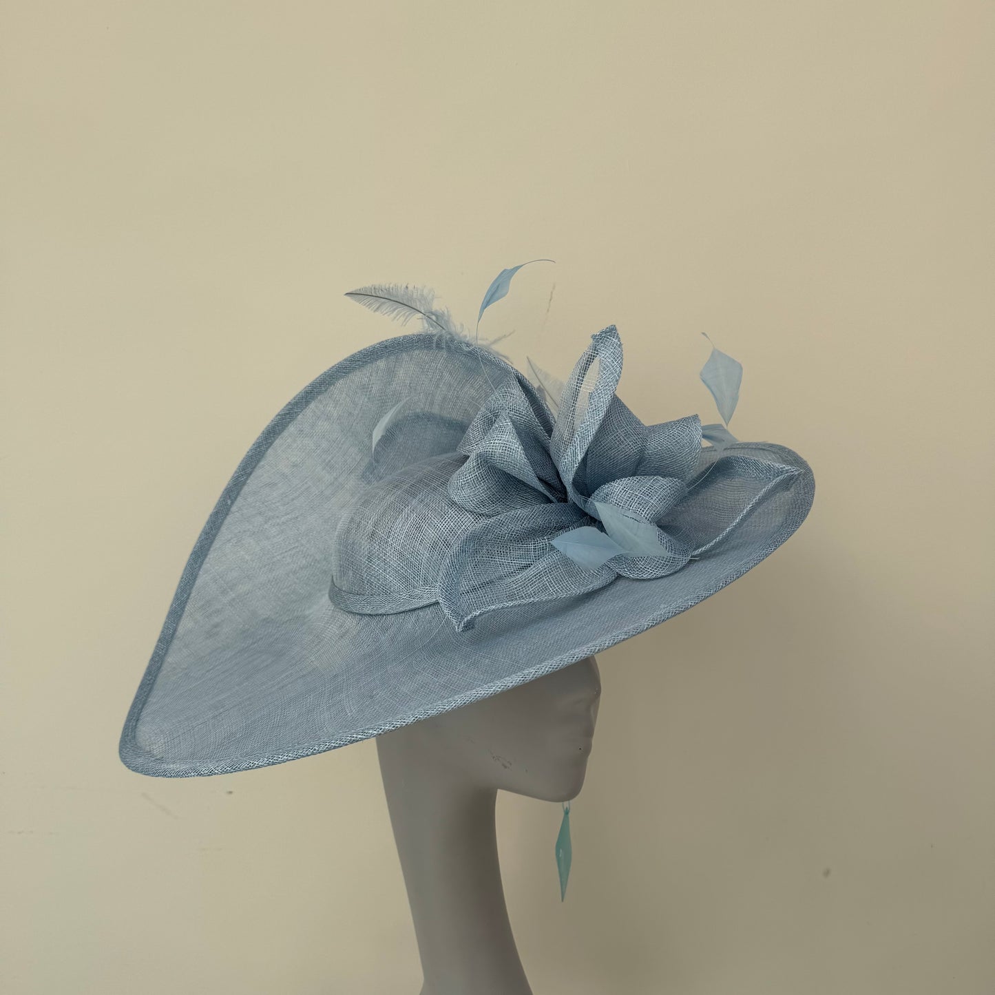 Max and Ellie WD5 Powder Blue Hatinator Powder Blue