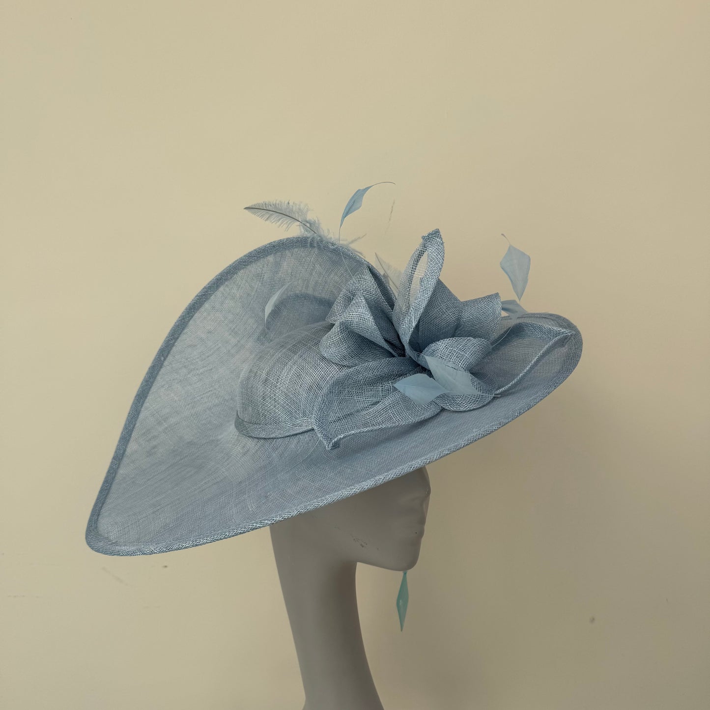 Max and Ellie WD5 Powder Blue Hatinator Powder Blue