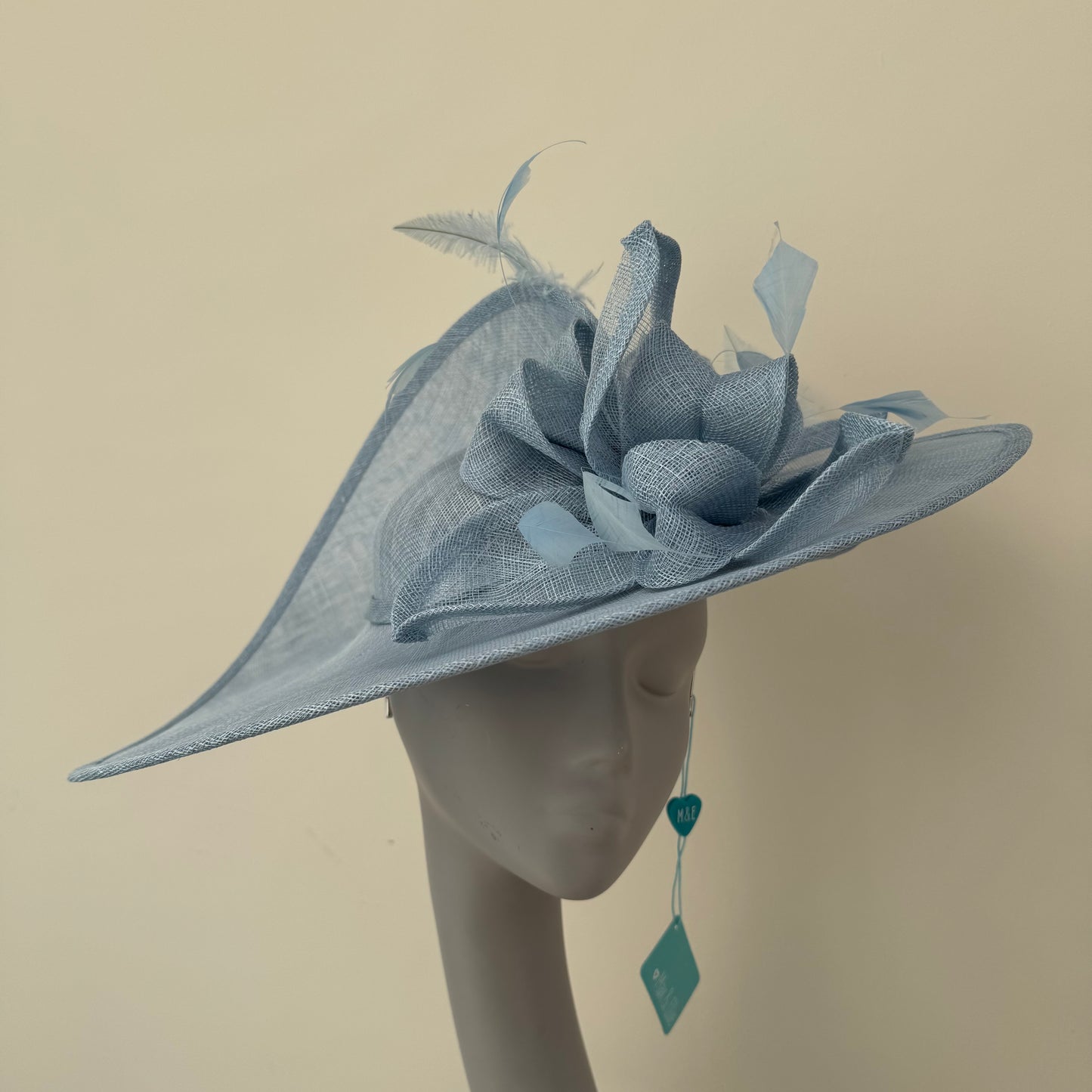 Max and Ellie WD5 Powder Blue Hatinator Powder Blue