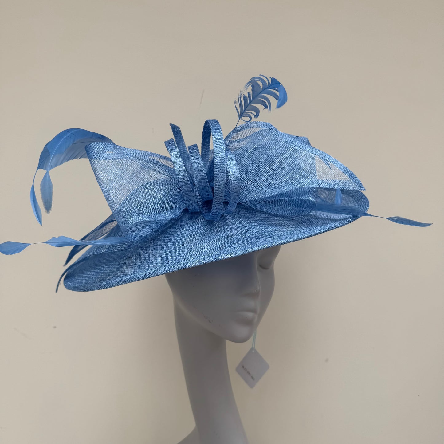 Max and Ellie FD7 Bluebell Hatinator