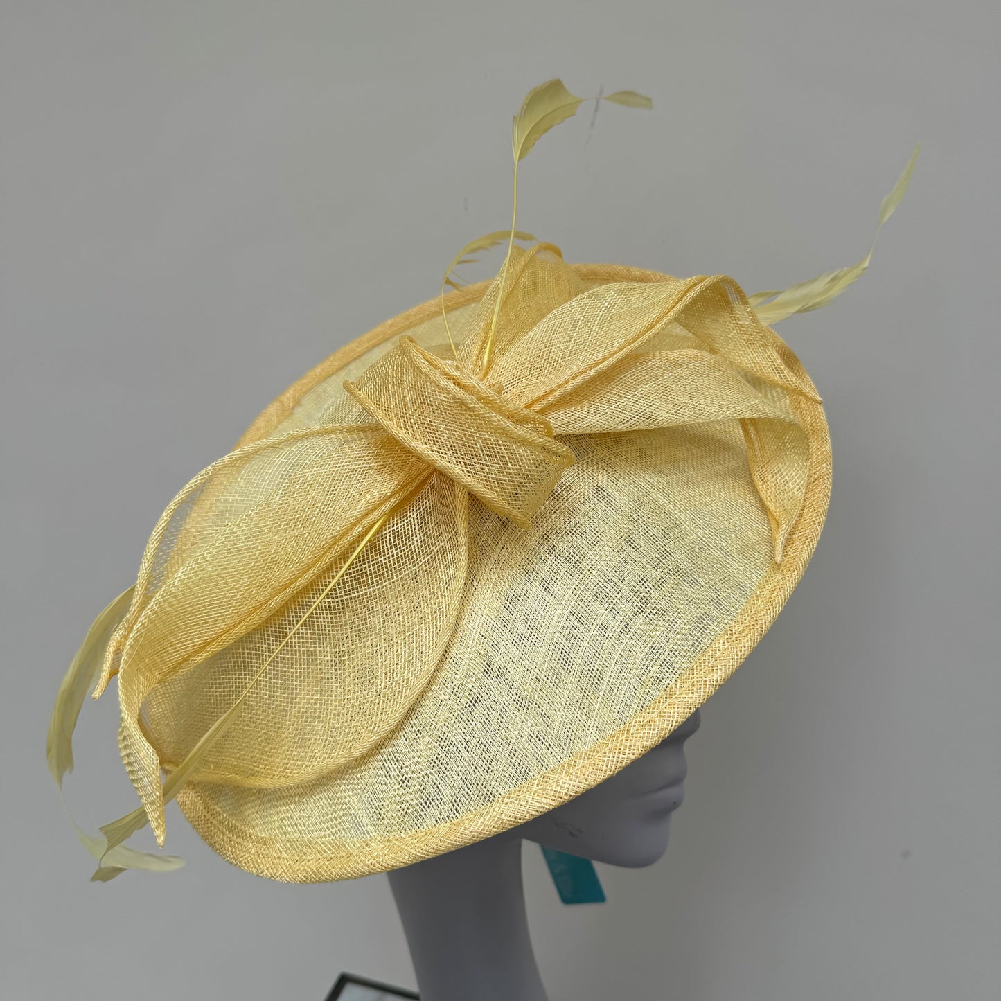 Max and Ellie TD1 Lemon Yellow Disc Hatinator
