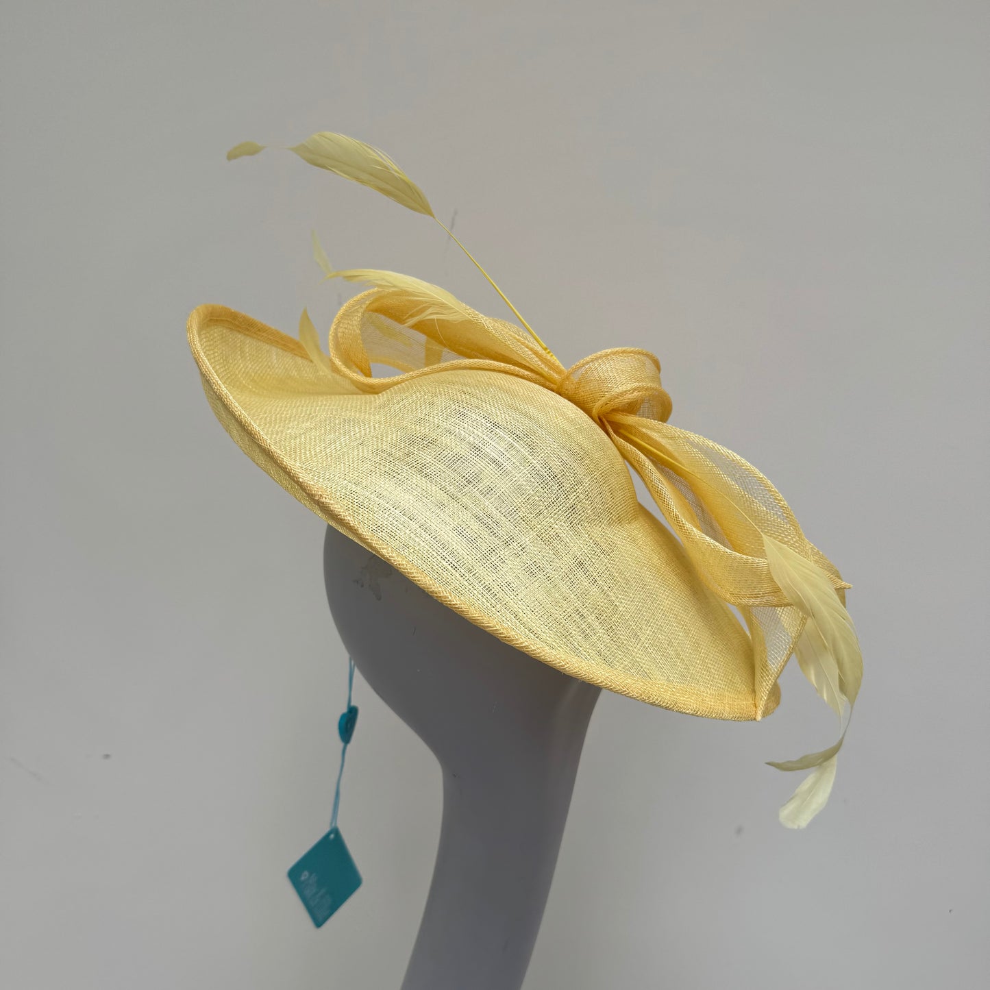 Max and Ellie TD1 Lemon Yellow Disc Hatinator