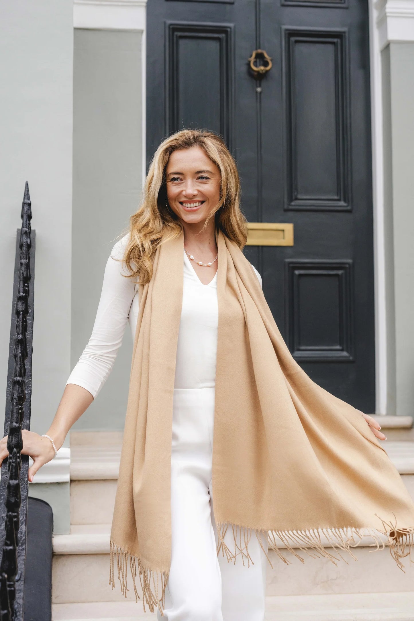 Park Lane PAS Celine Pashmina in Brown & Taupes