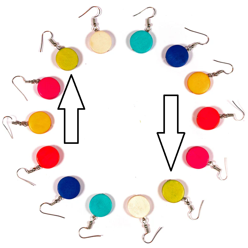 Lotus Feet HAE1 Wood Disc Earrings
