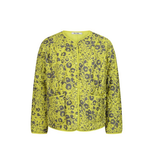 Alice Collins Kirsten Padded Jacket